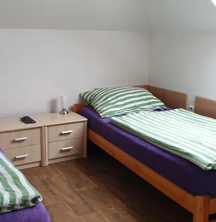 Milenium Guest house 3*