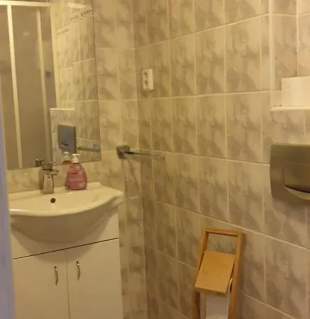 Milenium Guest house 3*