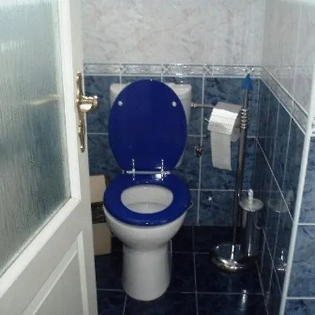 Milenium Guest house